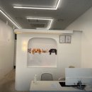 동탄강아지분양 도그데이 이미지