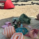 청록한의원 | 제주 코난비치 스노쿨링 대여 감성 물놀이 용품 ‘더피크닉’