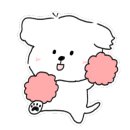 퓨어그루밍 이미지