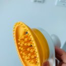 광주 고양이 분양 냥블리 광주점 이미지