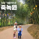 죽녹원게임랜드 | 담양 여행코스 BEST 죽녹원 아이와 다녀온 솔직후기