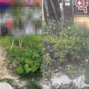 토지공사약국 이미지