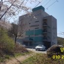 스위스한방병원 네이버블로그