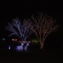 거북공원 이미지