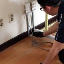 (주)드림매직 이미지