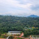 창원중앙부동산중개사무소 이미지