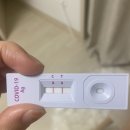 이배진내과의원 | 시흥 장곡동 코로나 신속 항원 검사 확진 후기 (코로나 자가 키트 양성, 목으로 검사, PCR 없음, 코로나...