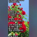 하루의 행복 Daum카페