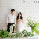 브라이트스튜디오 이미지