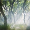 유리정원 이미지