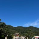 충북 증평 여행 : 블랙스톤 벨포레 목장 &amp; 벨포레 놀이동산 (44개월,14개월 아기랑)