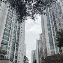 일성트루엘공인중개사사무소 이미지