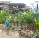 소 외양간 이미지