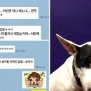 이우정 카카오 검색결과