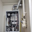 펠리시티2차 이미지