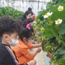 무안어린이집 이미지