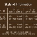 스카이풀 수영장 이미지