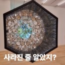 서울 무료 전시 후기 | 작아서 보이지 않을 뿐, 사라진 것은 아니다 《엔도스코페이아》 @송은미술관