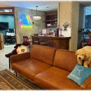 여의도상한가의원 이미지