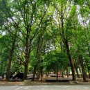 화원유원지 이미지