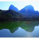 전북인삼협동조합 이미지