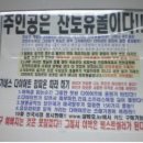 이레잔토휴몰