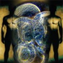 우량농장 이미지