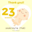 GS25송탄등기소점 | 21w-26w 임신 중기 일기 | 먹태교부터 임당검사, 육아용품 준비까지