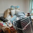 다그린환경 이미지