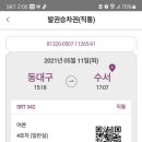 페트리코 이미지