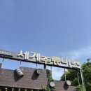 세계과자마켓 | 춘천 가볼만한곳 추천! 여행 오면 꼭 들러야 하는 세계주류마켓 솔직후기