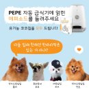 [페페이벤트] 페페 급식기에 얽힌 에피소드를 나눠주세요 :)
