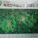 비악산식당 이미지