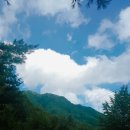 덕동하늘숲펜션 이미지