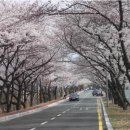 초당방민박 네이버블로그