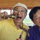 코렘투어