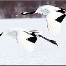 간월민박 이미지