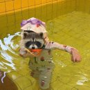 아몬드키즈호텔 양산통도사점 이미지