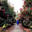 동백자연에너지 이미지