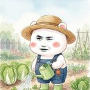 백상푸드 | 백상고수라면 솔직후기