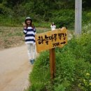 내속목장 네이버블로그
