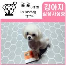 동남가축약품 | ［강아지 심장사상충약 캐치원］-집에서 손쉽게 자가접종해요.