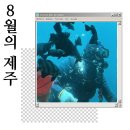 갑일카써비스 | &lt;8월의 제주&gt;제주도 3박4일 서귀포 여행코스🌴 가성비 숙소·호캉스 호텔·자쿠지 글램핑 총정리(feat...