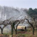 진천군농업기술센터 이미지