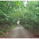 폭포산장펜션 이미지