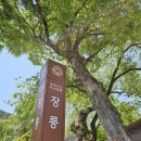 영월청령포 | [영월] 단종의 한이 서린 장릉 탐방기, 청령포/영월서부시장 후기