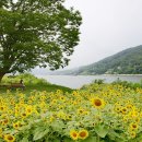 THE SPRING 이미지