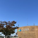 역전할머니맥주 서울송정역점 네이버블로그