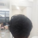 지웰헤어 - 남구 | 지웰헤어