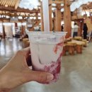 라파 | 경주 한옥 대형카페, 분위기 끝판왕 "노경보차라파" 방문 후기